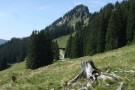 Oberen Gund-Alpe am Fuß des Besler