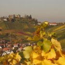 Radtour zwischen Schurwald und Remstal -Blick auf die Grabkapelle