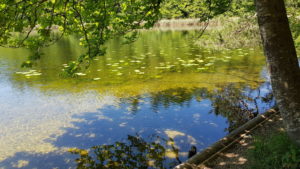 Badeplatz am Kesselsee