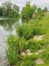 Im Jagsttal und auf den Spuren der Römer -Stausee Stockmühle