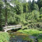 Picknickstelle Flößerhütte an der kleinen Enz