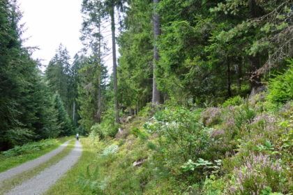 Radweg Kleine Enz