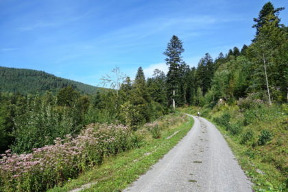 Enztal-Radweg