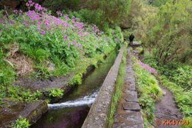 Levada im Naturschutzgebiet Rabaçal