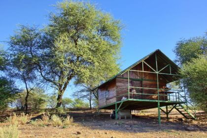 Hippo Chalet