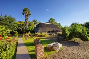 Vreugde Guest Farm