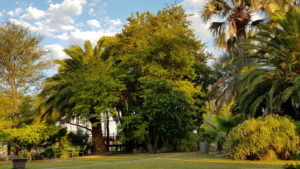 Vreugde Guest Farm