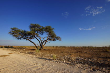 Westteil des Etosha Parks -Landschaft um Dolomite