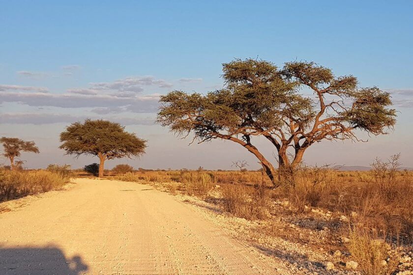 Abschied vom Etosha Park