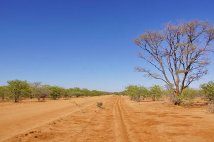 Damaraland  -Landschaft wird grüner