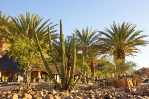 Hauptgebäude der Ai-Aiba Lodge