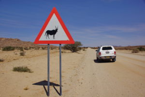 wo stecken die Oryx?