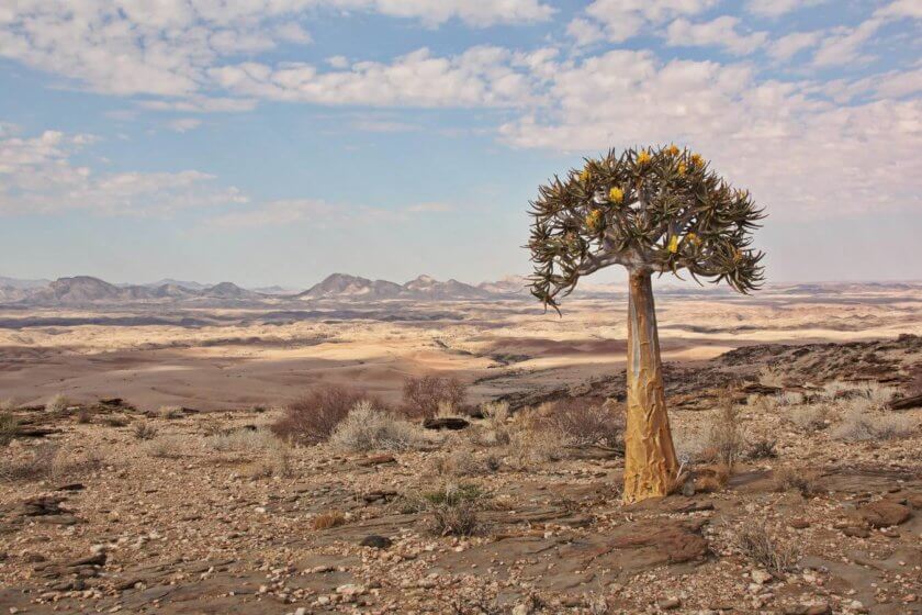 Namibia Rundreise