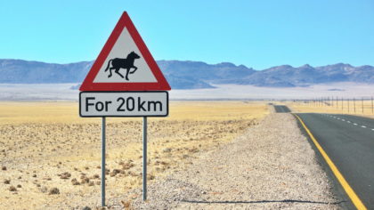 20 km Wildpferde