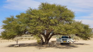 Lijersdraai Picnic Site