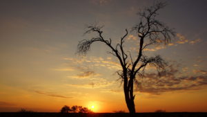 Sonnenuntergang am Gharagab Hide