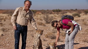 Cheetah Encounter auf Lapa Lange