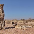 Abschied von Namibia