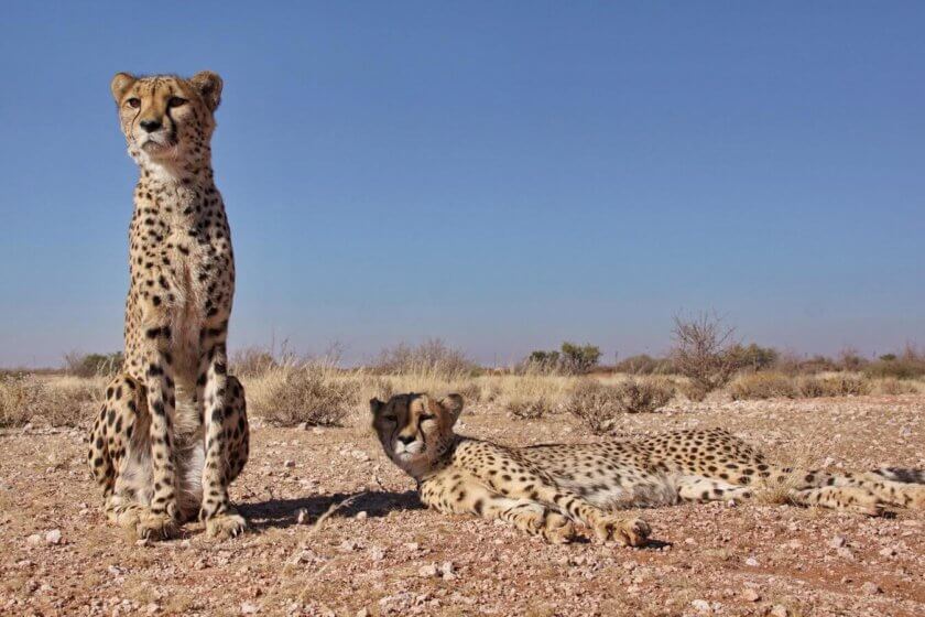 Abschied von Namibia