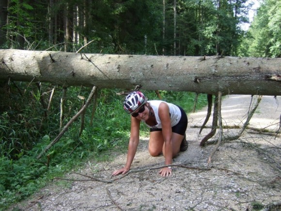 Waldwege haben ihre Tücken!