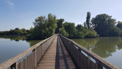 Altmühlsee -Übergang zur Vogelinsel