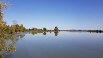 Altmühlsee