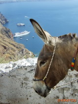 Fira