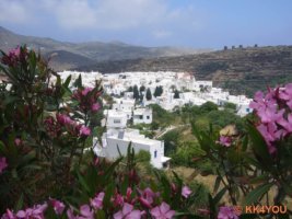 Panormos (Pyrgos) im Hochland