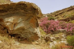 Karge Landschaft