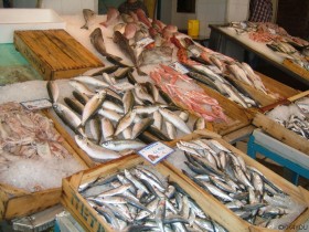Törn Nördliche Kykladen -Lavrion -Fischmarkt