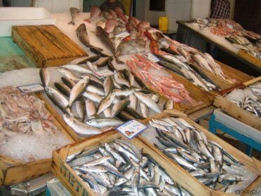 Lavrion -Fischmarkt