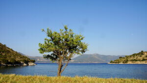 Kefalonia -Agia Sofia Beach