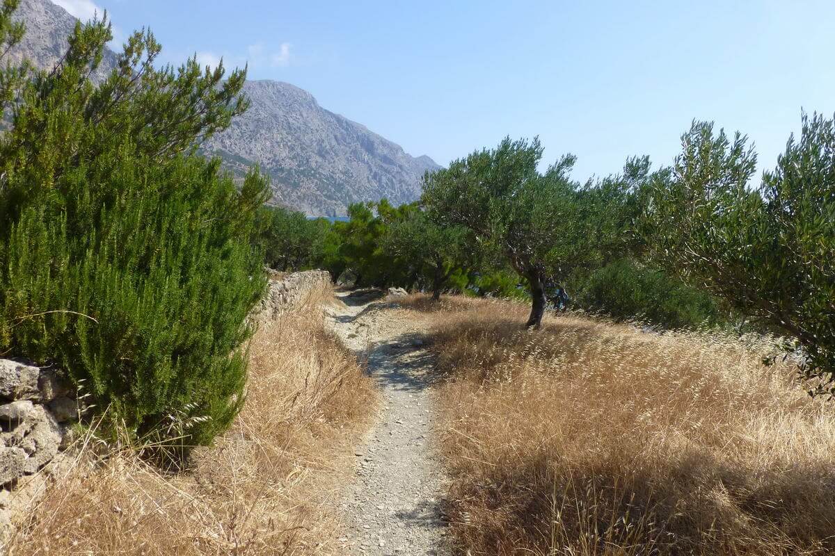 Wanderweg von Diafani nach Olymbos