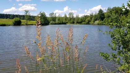 Aichstruter Stausee