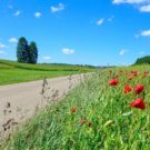 Wiesensteiger Radtour über die Alb lphöhe