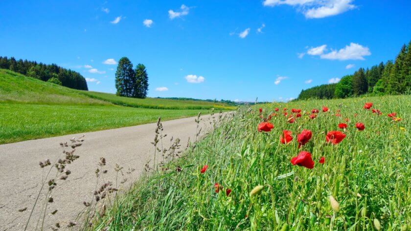 Wiesensteiger Radtour über die Alb lphöhe