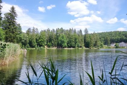 Ebnisee